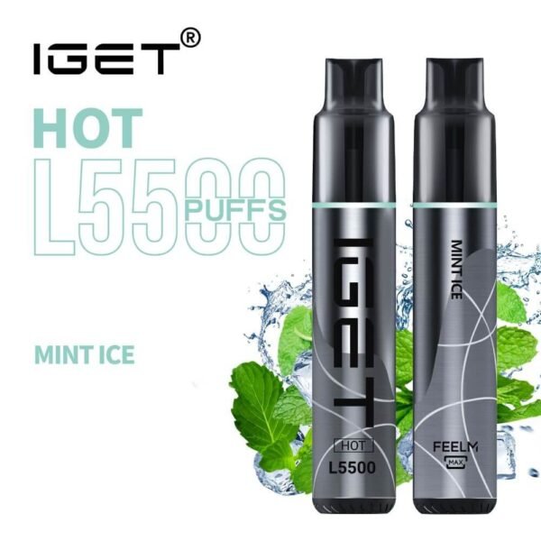 iGET HOT VAPE 5500 PUFF – MINT ICE